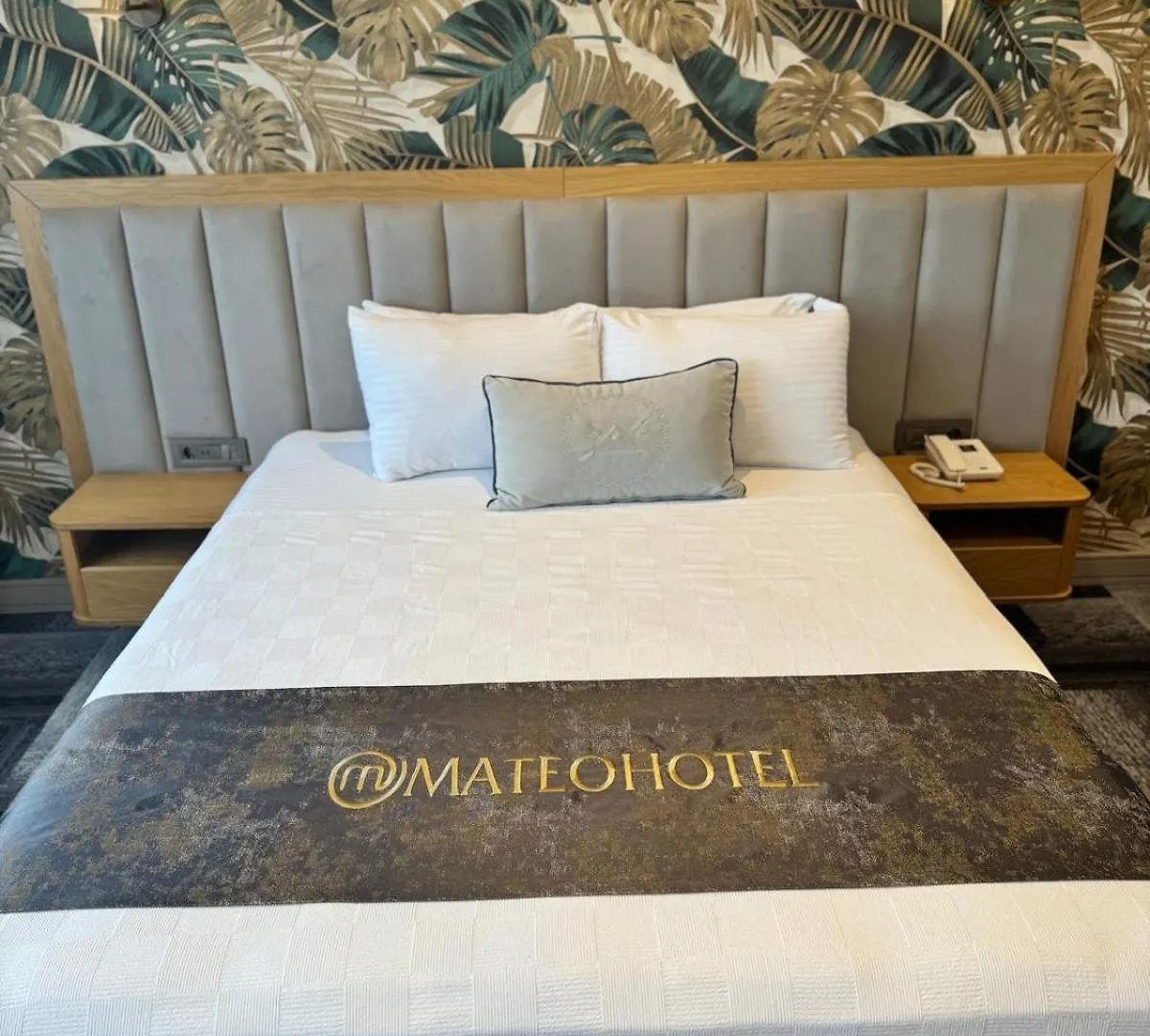 Hotel Mateo Provincia di Provincia di Istanbul Turchia