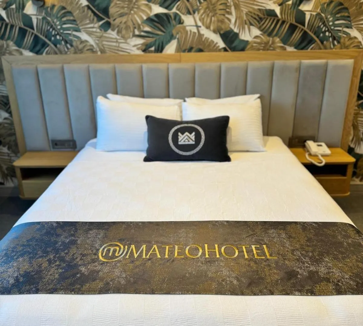Hotel Mateo Provincia di Provincia di Istanbul 0*,
