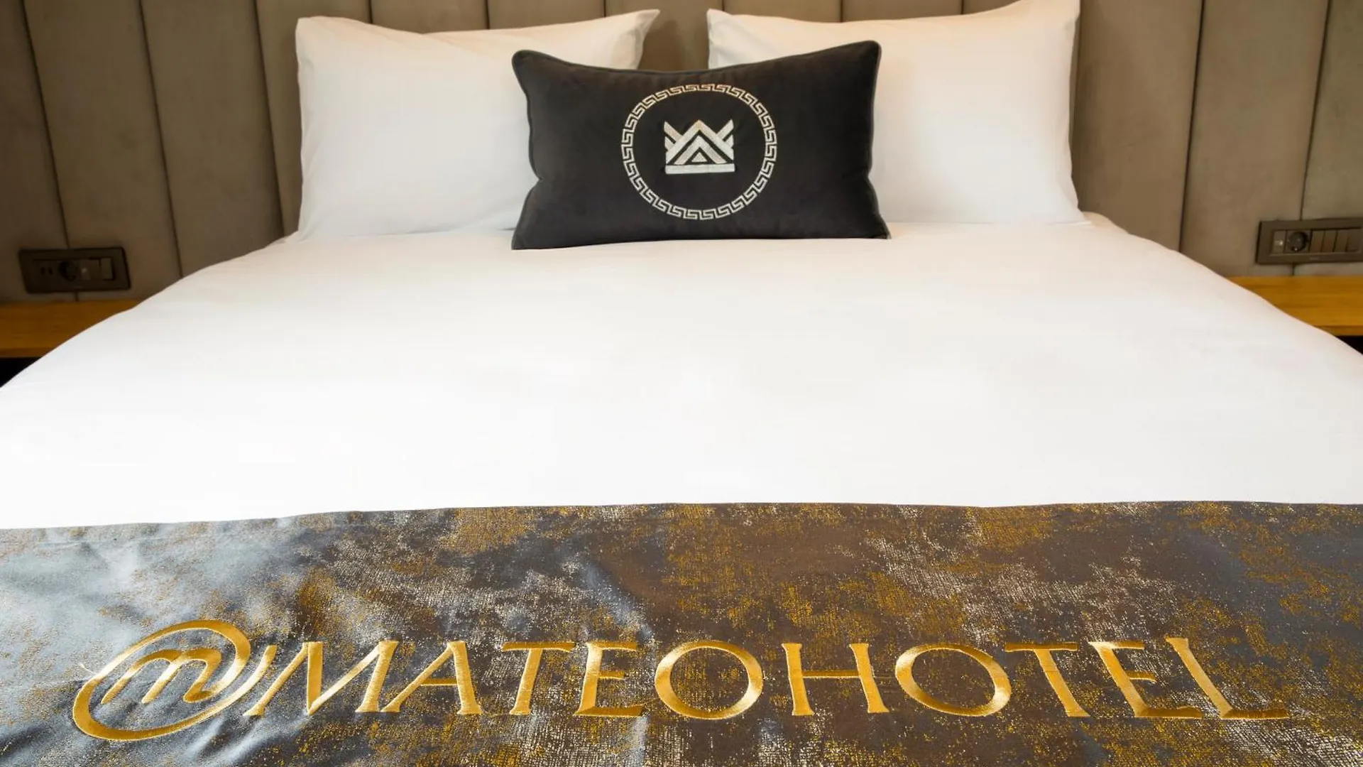 Hotel Mateo Provincia di Provincia di Istanbul 0*,